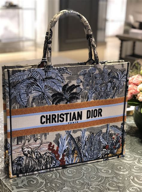 dior bag in paris